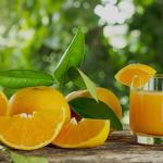 Vitamin C; İnsanların Üretemediği Vitamin